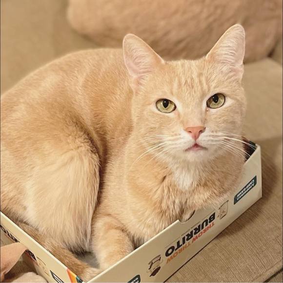 Meet your Posher, Jen - Picture 1 of 1